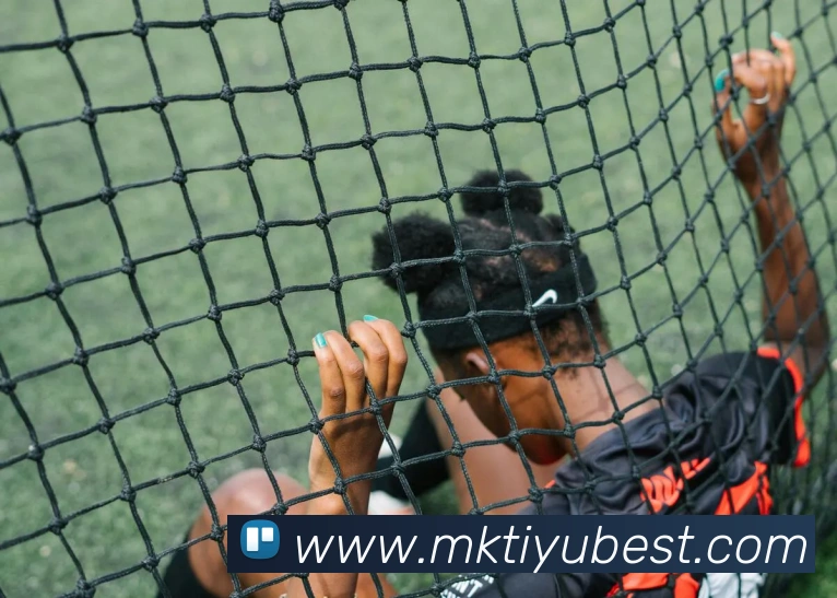 MK体育平台生态图